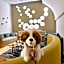 Swiss-Belinn Airport Muscat Oman