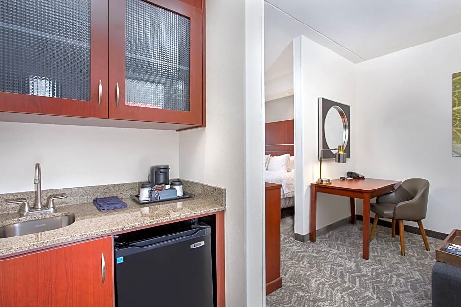 SpringHill Suites by Marriott Pigeon Forge