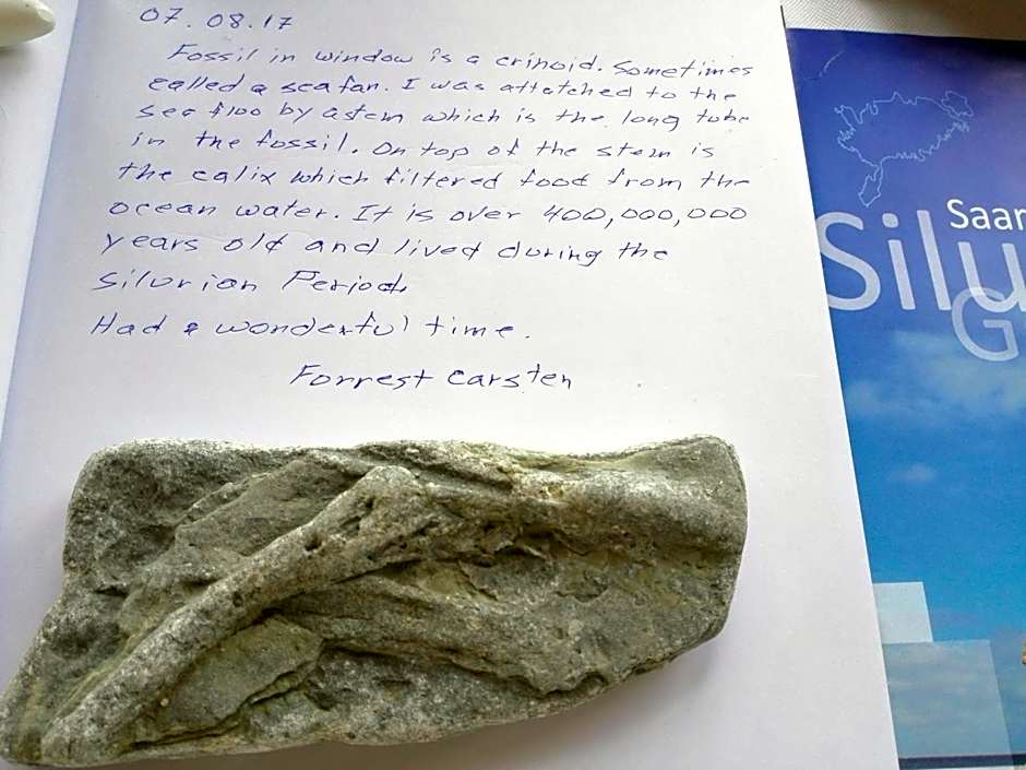 Ohessaare Windmill -Experience accommodation