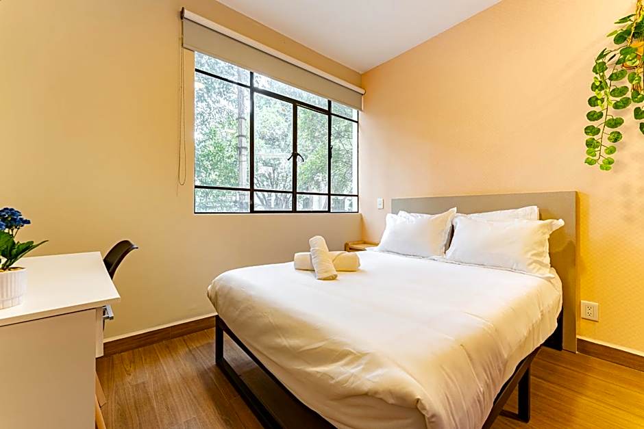 Casa Danubio Reforma by VH