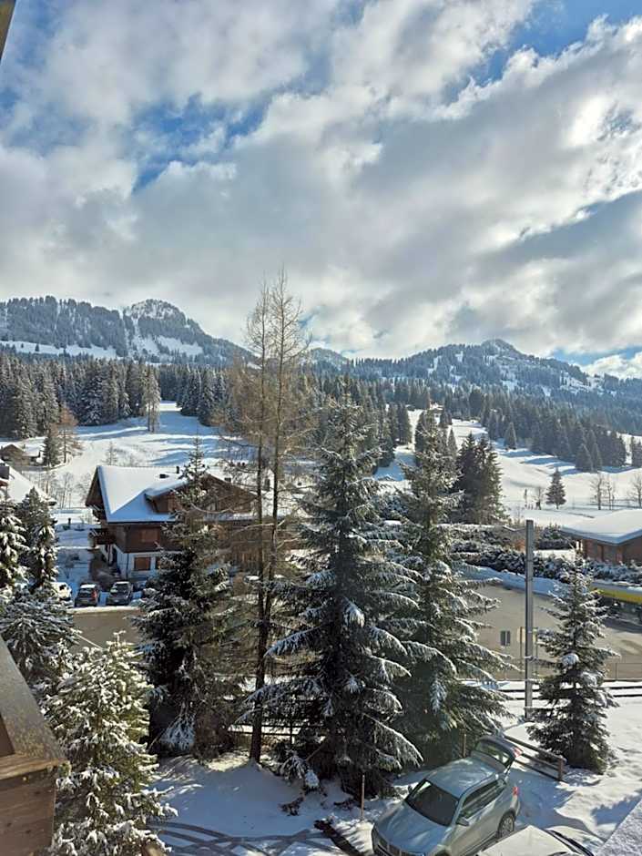 Hotel des Alpes Superieur