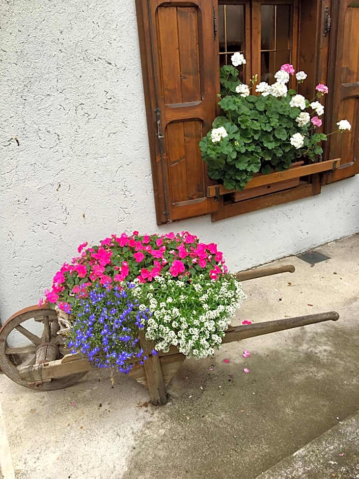 Albergo Meuble Tarandan