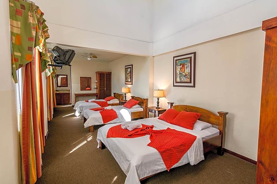 Hotel Amón Real
