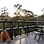 Shizuka Ryokan Japanese Country Spa & Wellness Retreat