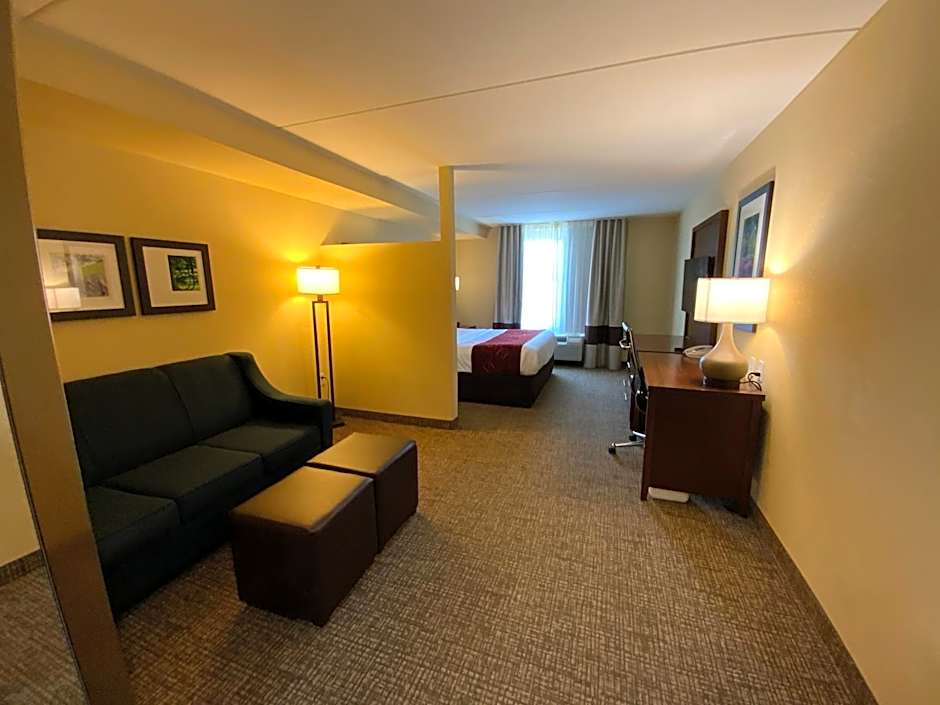 Comfort Suites Fredericksburg