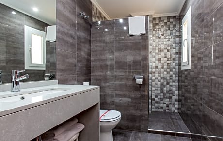 TRIPLE ROOM WITH CHILD ( 2 ADULTS +1 CHILD)