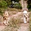 Elandela Private Game Reserve and Luxury Lodges Pty Ltd