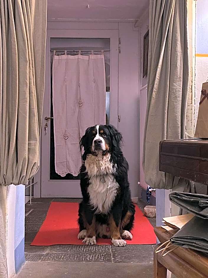 Viandanti, Artisti e Sognatori