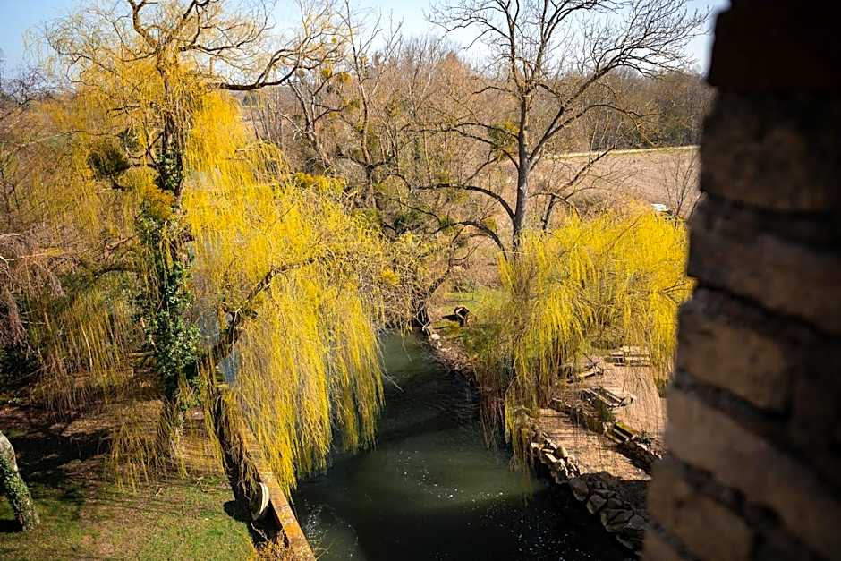 Le Moulin De La Wantzenau - Strasbourg Nord