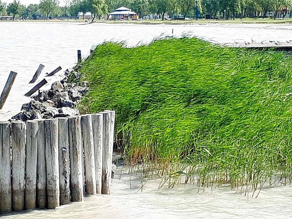 Hotel & Restaurant Seehof