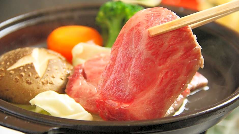 Gokayama Onsen Akaokan