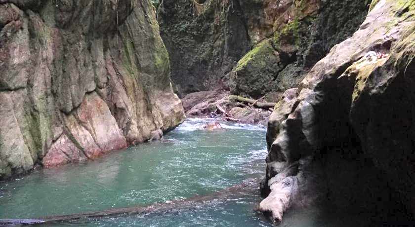 Green lodge tangkahan 