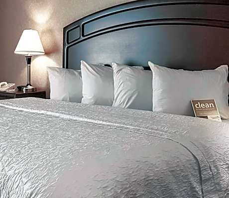 King Suite with Sofa Bed - Non-Smoking