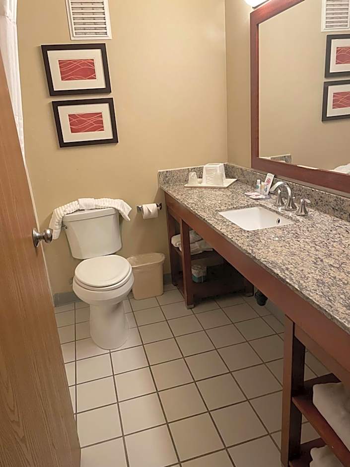 Comfort Inn Central University South