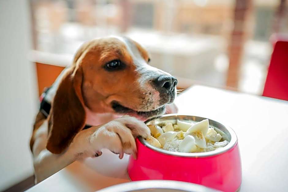 Unisotel Colmar Parc Des Exposition EX F1