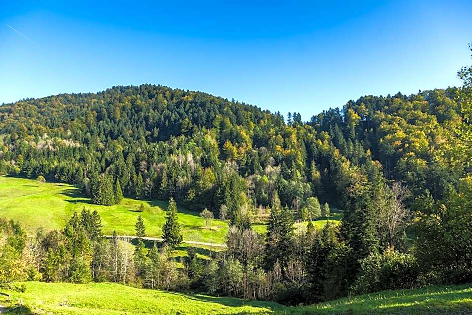 Hotel Bad Rain mit Oberstaufen PlusGolf