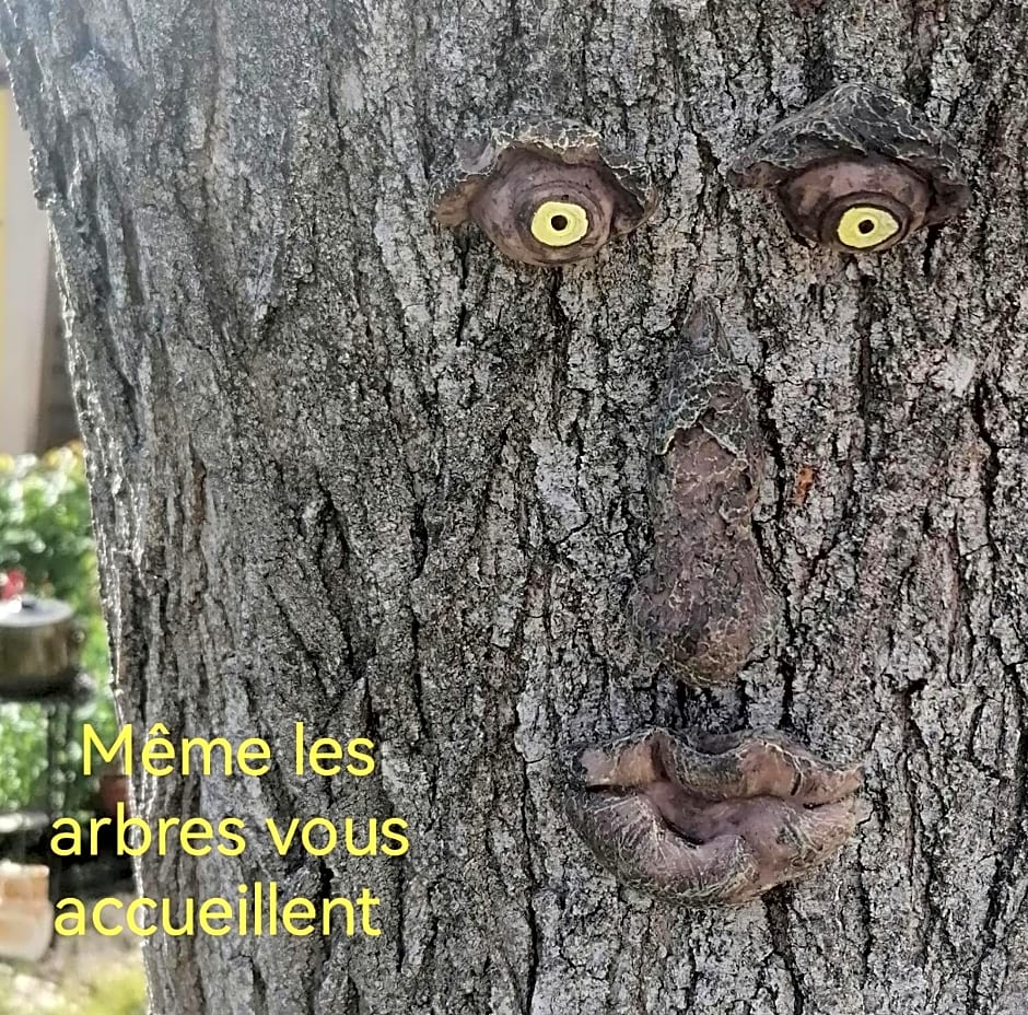 la fee viviane et michel l'enchanteur – Robion, UT