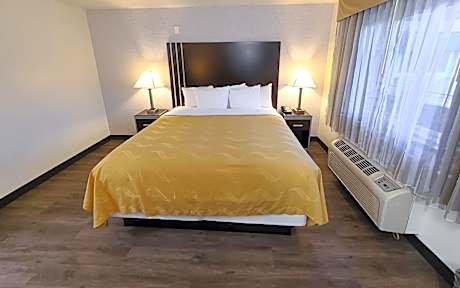 Deluxe Suite, 1 King Bed with Sofa Bed, Non Smoking