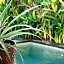 Spaces Bali Unique Boutique Hotel