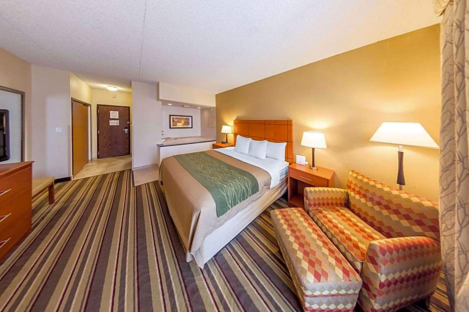 Comfort Inn Metro Airport Romulus
