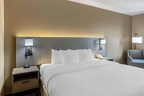 King Room - Non-Smoking