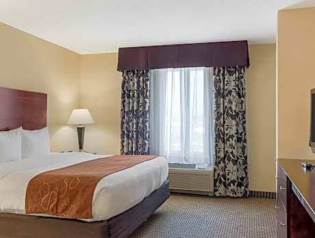 1 Bedroom King Suite