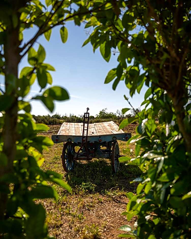 Bed & Breakfast Villa Michela Alezio