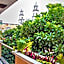 Hotel Caribe Merida Yucatan