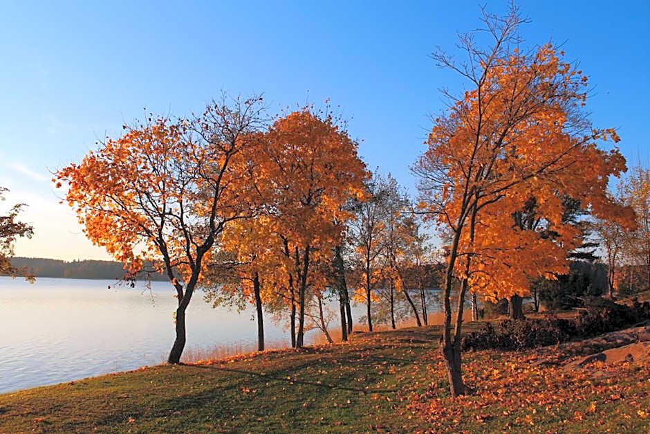 Labbnäs Semesterhem, Radhuset