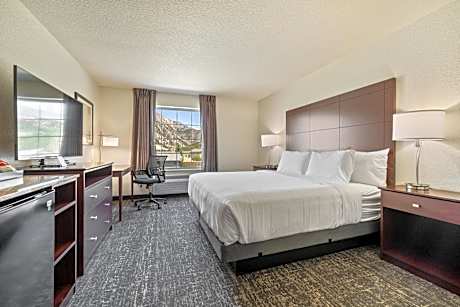 King Room with Roll-In Shower - Disability Access