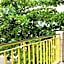 12 Bees Hotel