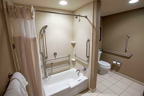 1 Kng 1 Bdrm Ste Mobility Access W/Ri Shwr