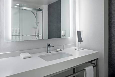Specialty Suite, Suite, 1 King