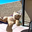 MI KASA HOT SPRINGS 420,Adults Only, Clothing Optional