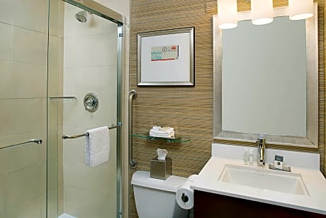 1 King Jr Suite Nonsmoking