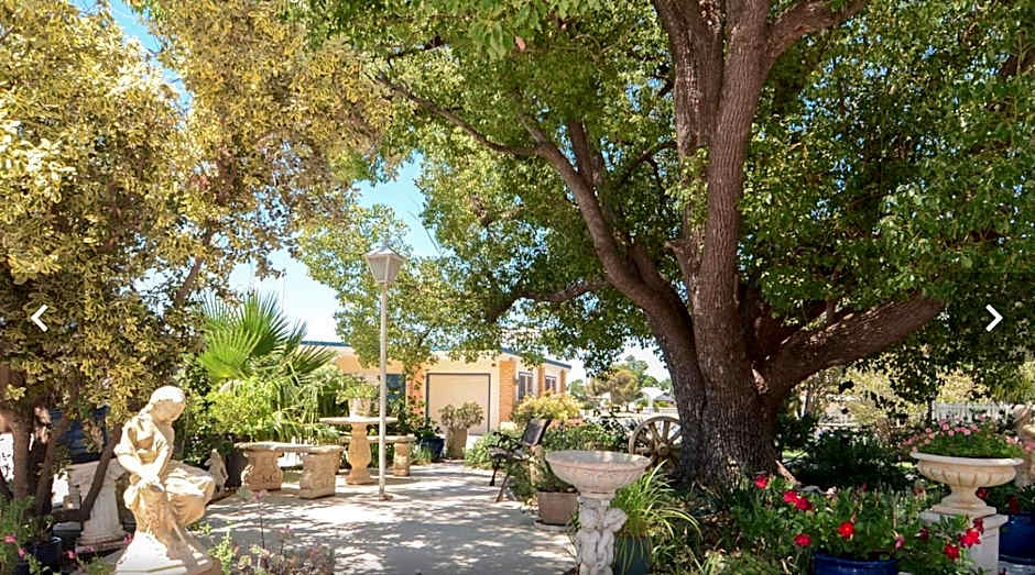 Sturt Motel Balranald