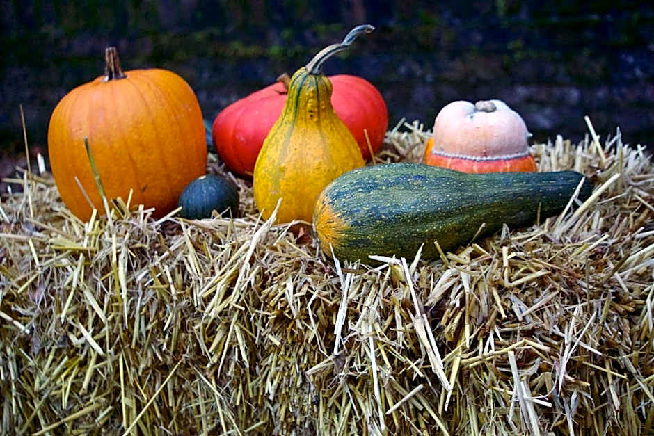 Hotel Haus Kronenthal