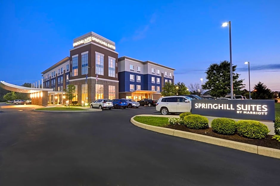 SpringHill Suites by Marriott Indianapolis Airport/Plainfield