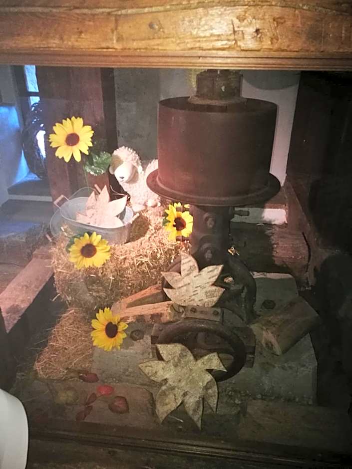 Hotel-Restaurant Bibermühle GmbH