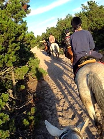 Domki nad morzem Sasino Mojo Miodno Checz