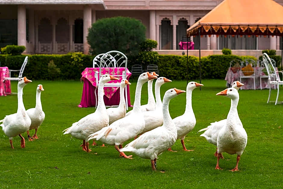 Dhawala Resort by Aamod