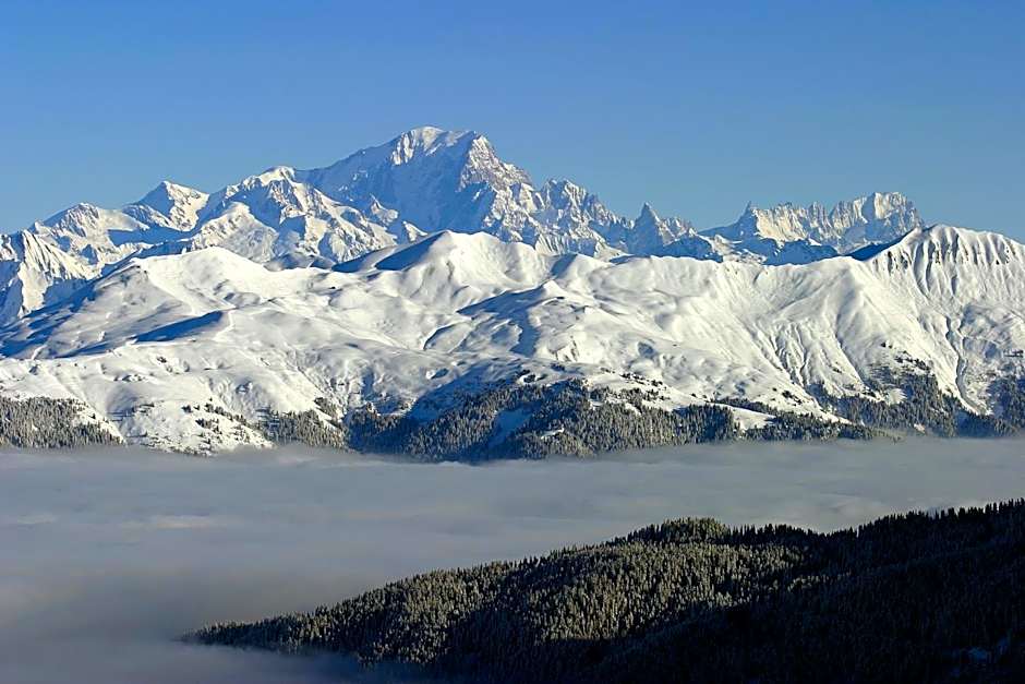 Hotel des Alpes