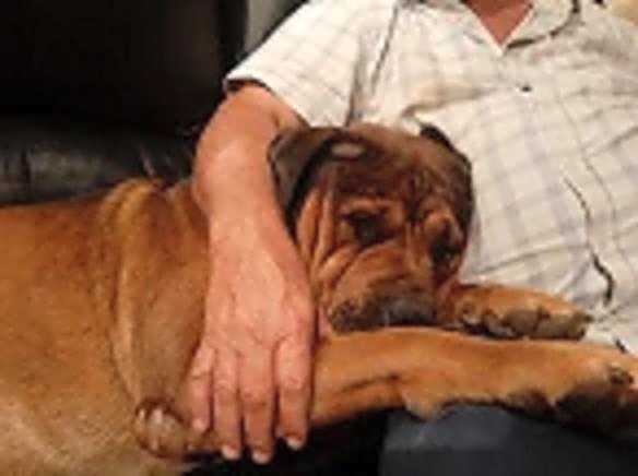 Suikerbosrant Sleep and go