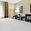 Comfort Inn Detroit Downtown