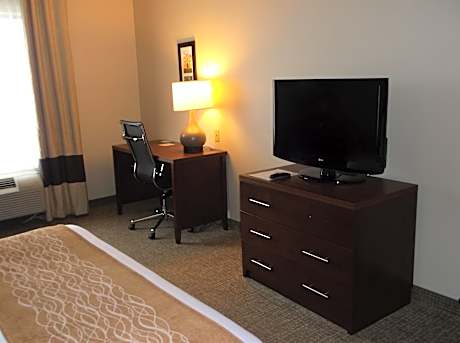 King Room with Roll-in-Shower - Accessible/Non-Smoking