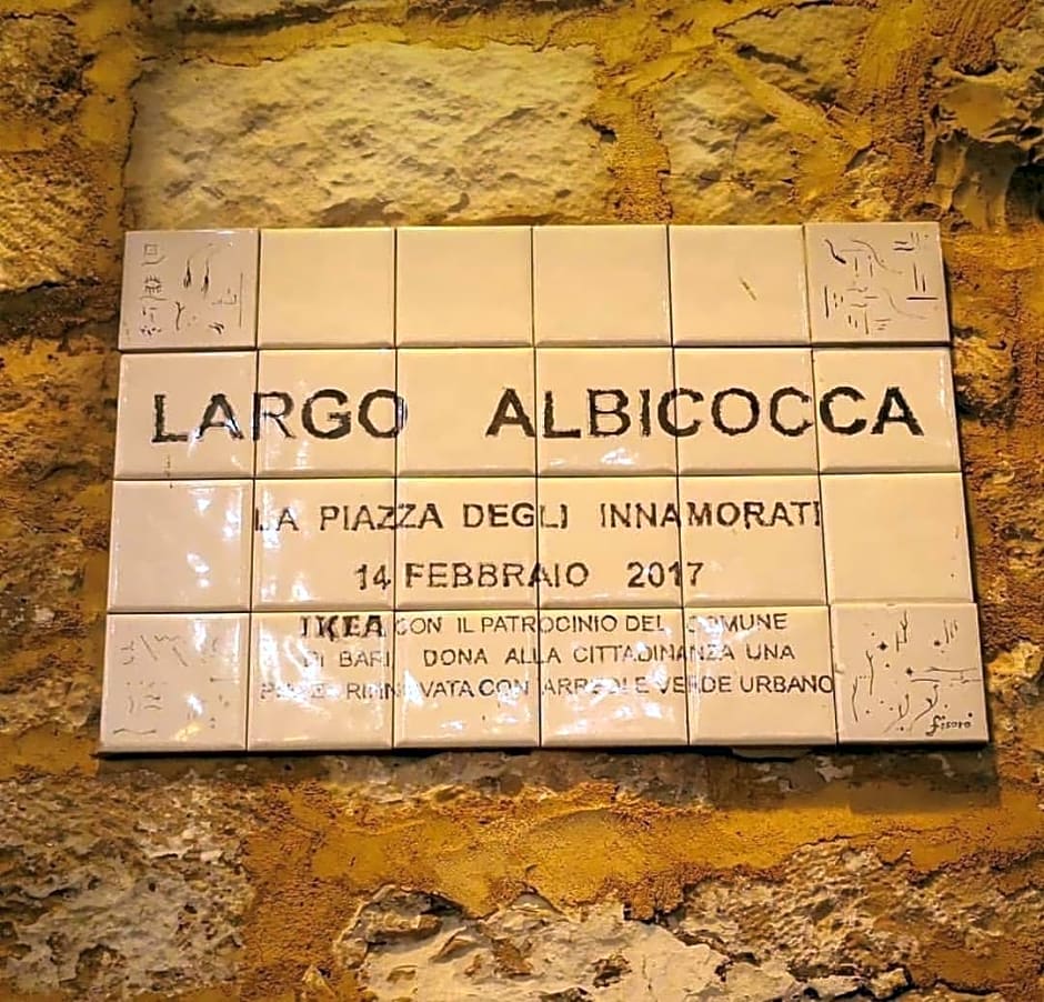 Loft Albicocca