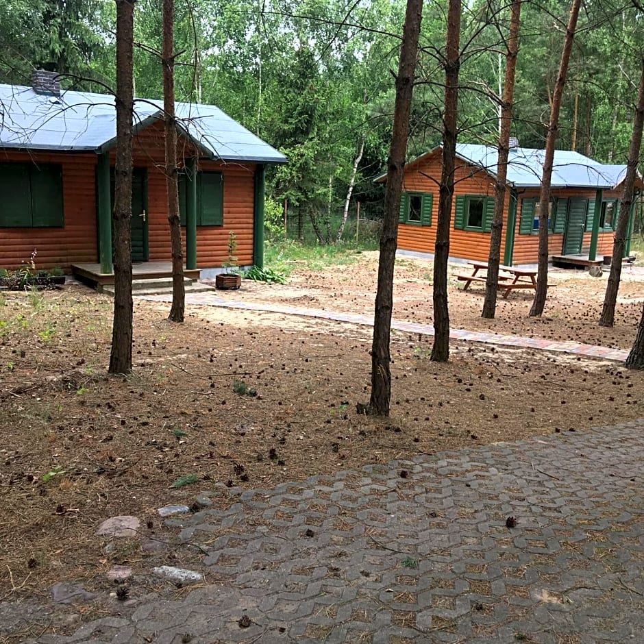 Agroturystyka Oaza Ciszy i Spokoju