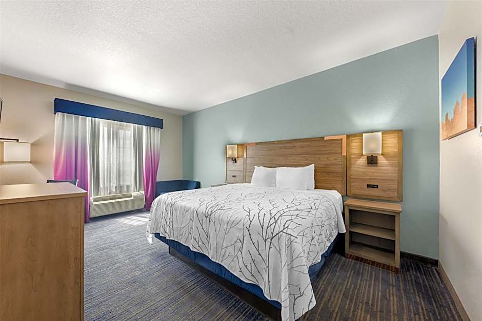 Best Western Plus San Antonio East Inn & Suites