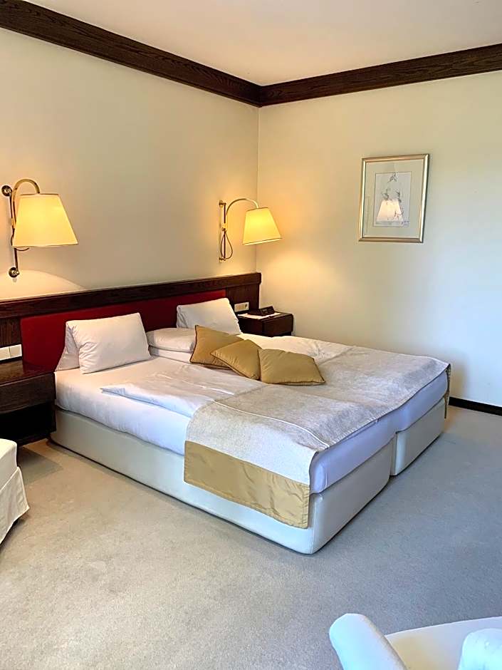 Dietrichsteinerhof Apartments & Rooms