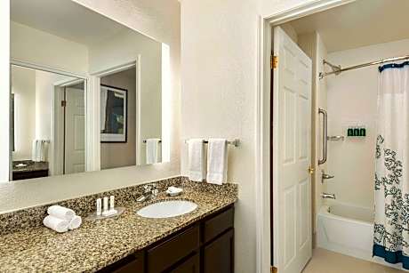 Suite, 1 Bedroom (1 Queen Bed and 1 Double Sofa Bed)